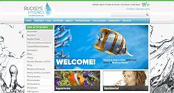 Desktop Screenshot of buckeyehydro.com